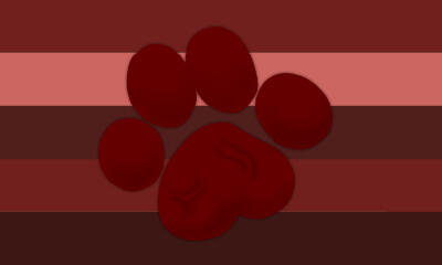Fleshpupgender